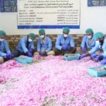 سایت 370