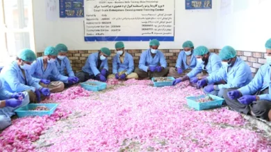 سایت 370