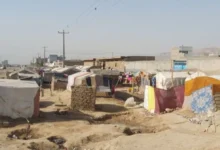 سایت 433