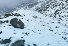 نورستان سفیدپوش شد؛ نخستین برف سال 2 سایت 473