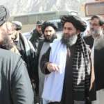 سایت 485