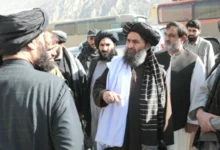 سایت 485
