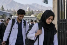 سایت 505