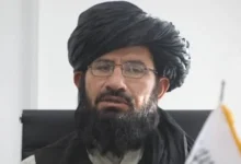 معین وزیر اطلاعات: افغانستان خواهان جنگ با هیچ یک از همسایهها نیست 2 سایت 508