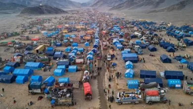 ۱۲۵ خانواده از مسیرهای مرزی به کشور بازگشتند 1 سایت 540