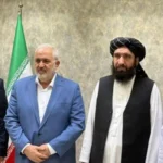 سایت 544