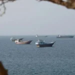 سایت 558