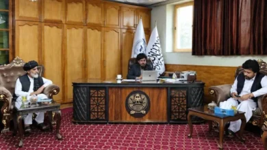 سایت 582