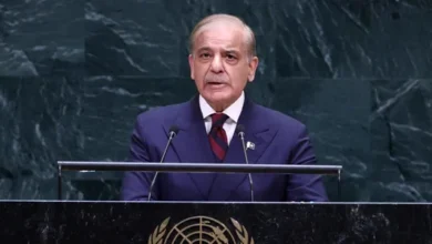 پاکستان بار دیگرخواستار اقدام افغانستان علیه گروههای مسلح شد 5 سایت 711