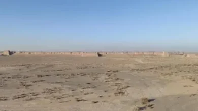سایت 716