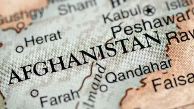 سایت 725