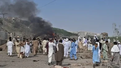 سایت 729