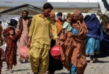 سازمان ملل: شمار عودت کنندگان افغانستانی تا پایان سال به ۸ میلیون نفر خواهد رسید 2 سایت 748