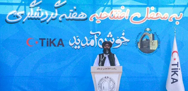سایت 765