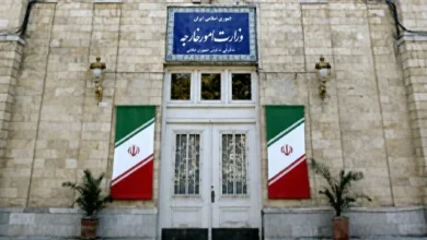 سایت 781