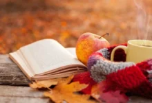 سایت 790