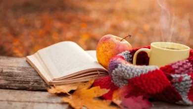سایت 790