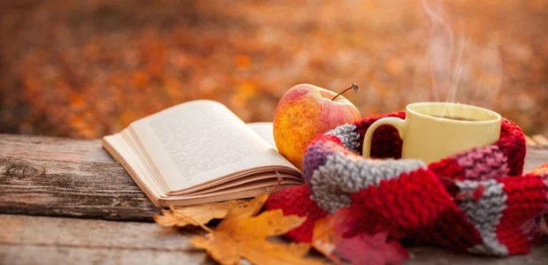 سایت 790