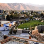 سایت 795