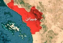 سایت 803