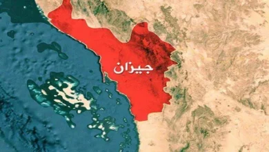 سایت 803