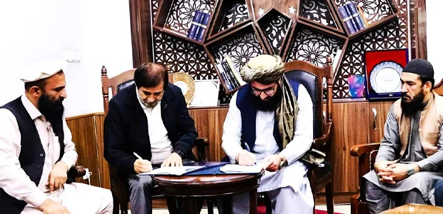 سایت 805