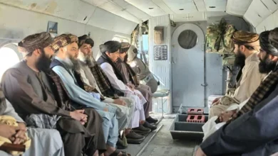 سایت 811