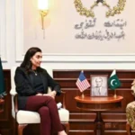 سایت 815