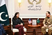 سایت 815