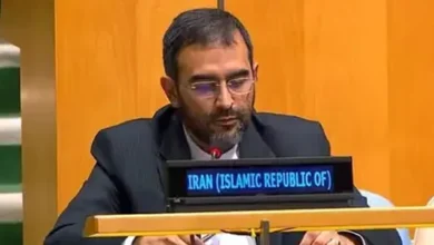 سایت 816
