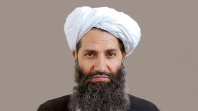 سایت 83