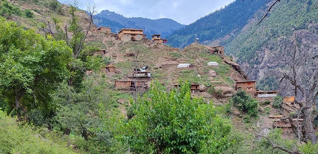 درگیری دوباره تـ.البان و جبهه آزادی در کامدیش نورستان 1 سایت 834