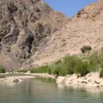 سایت 835