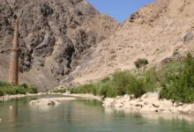 سایت 835