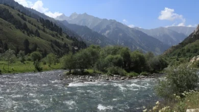 عملیات نیروهای دفاعی علیه داعش در نورستان پایان یافت 9 سایت 837