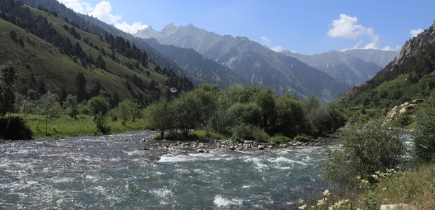 سایت 837