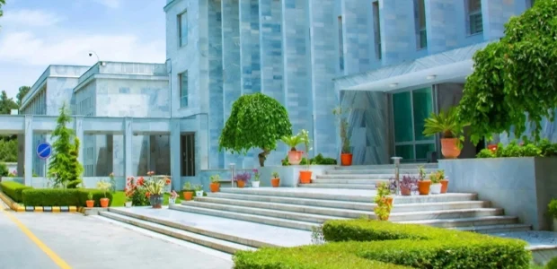 سایت 842