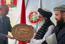 سایت 843