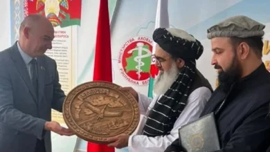 سایت 843