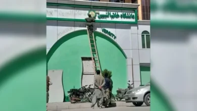 لغو مجوز دانشگاه خاتمالنبیین؛ دانشجویان تکنالوژی طبی در بلاتکلیفی 8 سایت 857