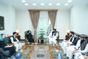 متقی و معاون دبیرکل سازمان ملل درباره همکاری‌های افغانستان گفت‌وگو کردند