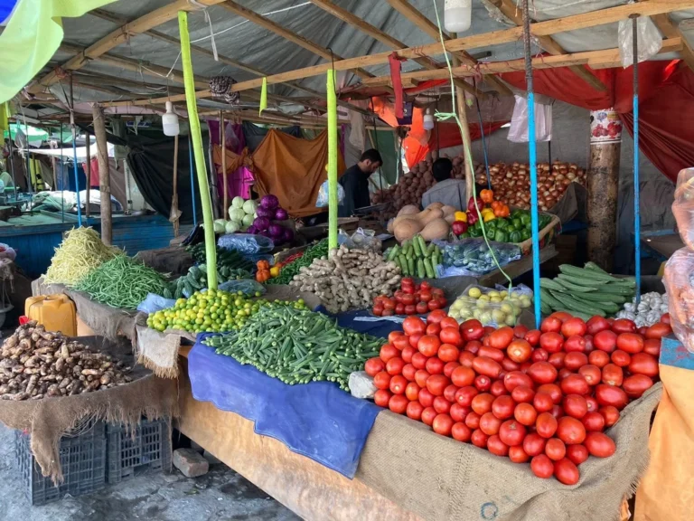 روز جهانی گیاه‌خواری؛ وقتی سفره بیشتر به سوی گیاهان می‌رود