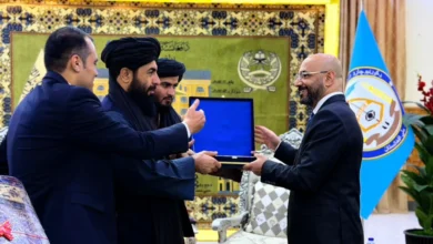 والی بلخ و سفیر ترکیه بر تسهیل سفر تاجران و بیماران تأکید کردند 2 HUKIjJfbgAAGQFi