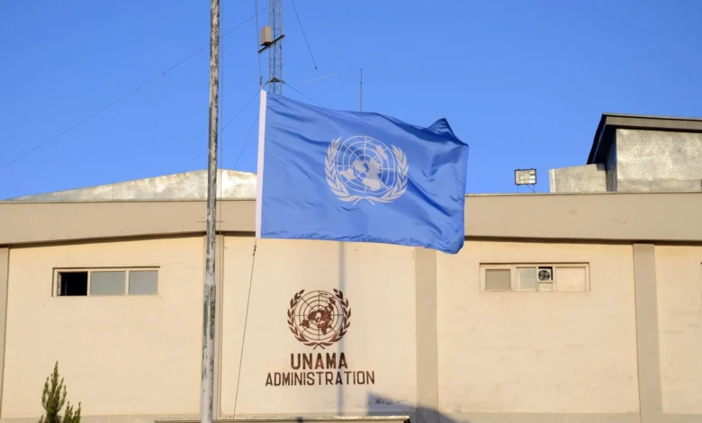 UNAMAA flag