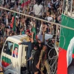 سایت 137