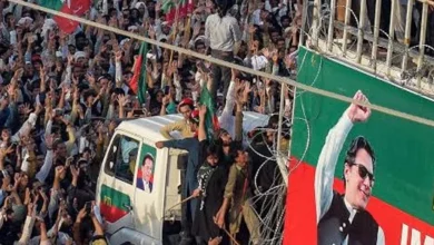 سایت 137