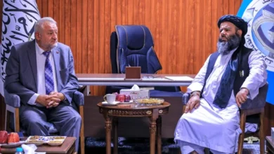 دیدار وزارت اطلاعات و فرهنگ و موسسه آغاخان؛ تأکید بر مرمت مسلکی آبدات تاریخی 1 سایت 159