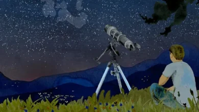 طالعبینی زیر ذرهبین علم؛ آیا ستارهها بر زندگی ما اثر دارند؟ 7 سایت 16