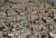 سایت 162