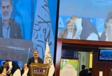 مقام ایرانی: افغانستان در ۱۰ سال آینده میتواند پیشتاز رشد اقتصادی منطقه باشد 2 سایت 185